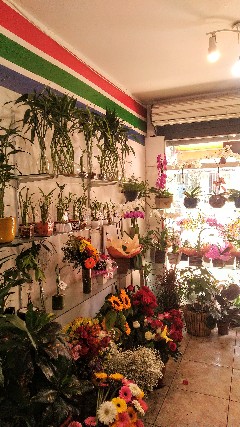 Foto 1 - Vendo Floricultura zona sul SP