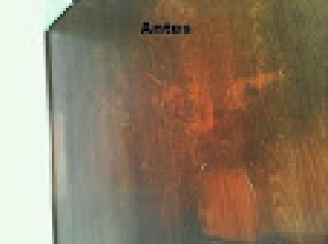 Foto 1 - Limpeza de paviflex no butanta e abc
