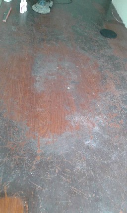 Foto 5 - Limpeza de paviflex no butanta e abc